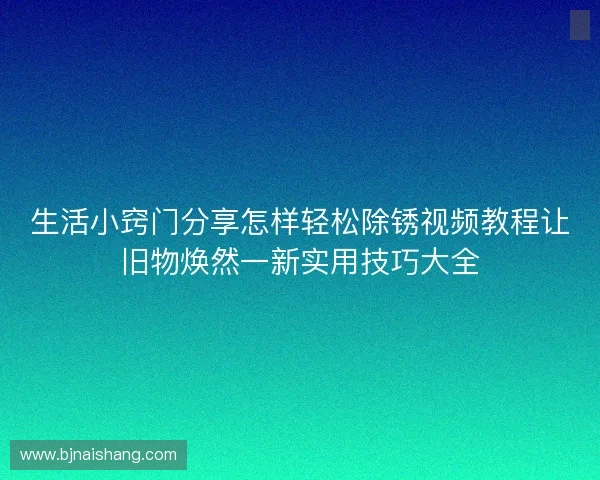 生活小窍门分享怎样轻松除锈视频教程让旧物焕然一新实用技巧大全